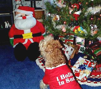I believe in Santa Shirt !!