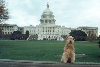 Maddie at the Capitol